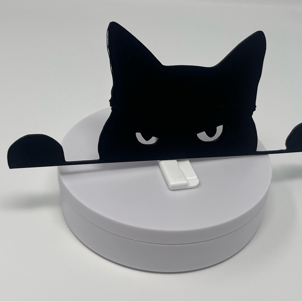 Black Cat Decor - Picture 1 of 4